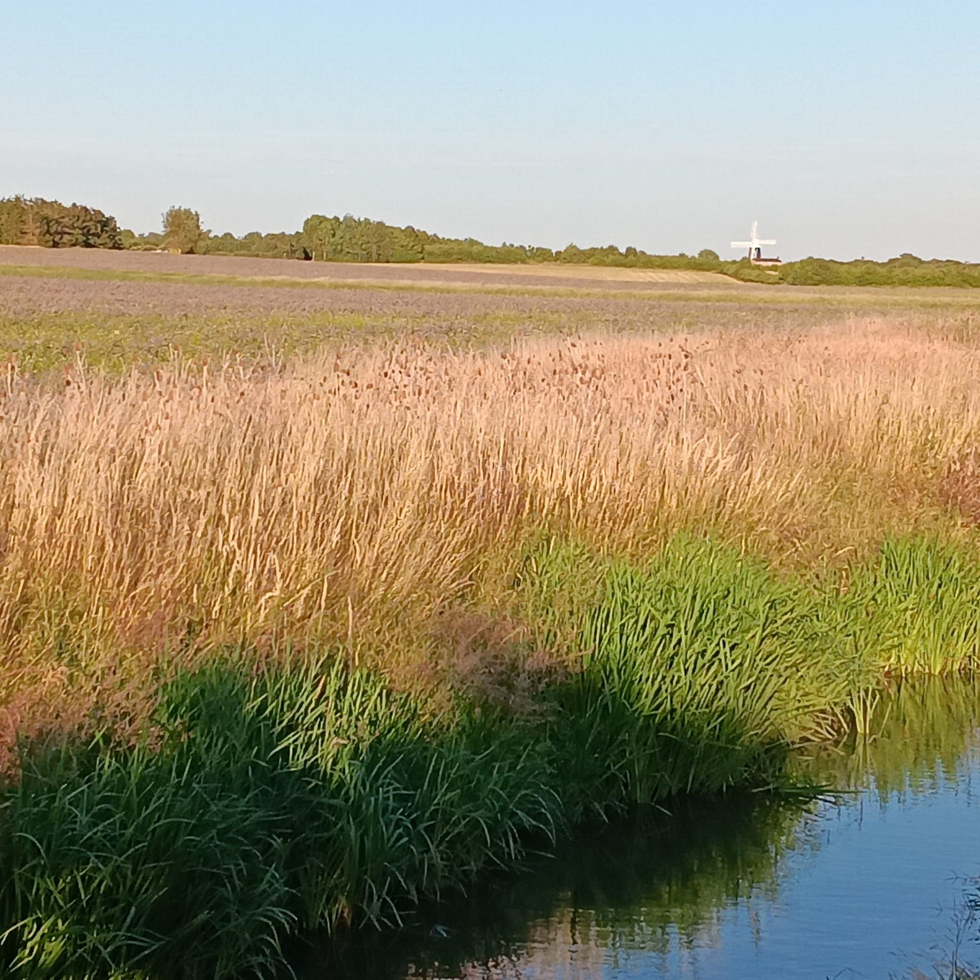 A view across fenland from the bank of the river great ouse near Over